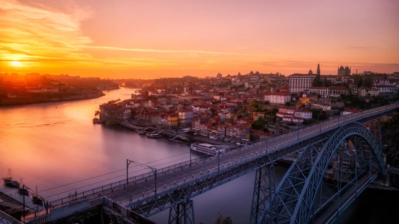 Jardim Botânico do Porto | Museu de História Natural e da Ciência da U.Porto – photo 7