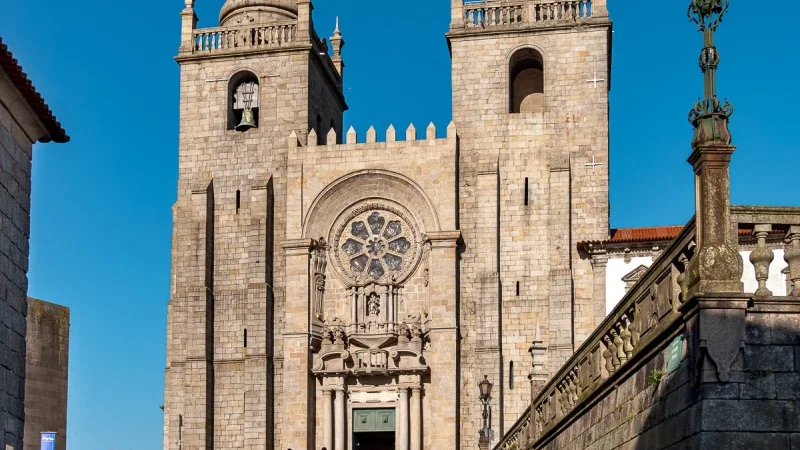 Jardim Botânico do Porto | Museu de História Natural e da Ciência da U.Porto – photo 8