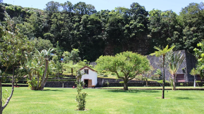 Jardim das Plantas Indígenas da Madeira – photo 2