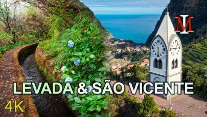 Praceta dos Cardais