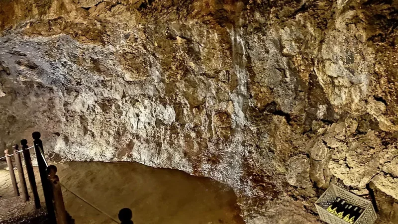 Grutas de São Vicente – photo 4