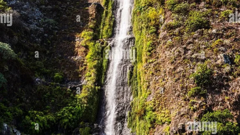 Cascata da Ribeira do Passo – photo 5