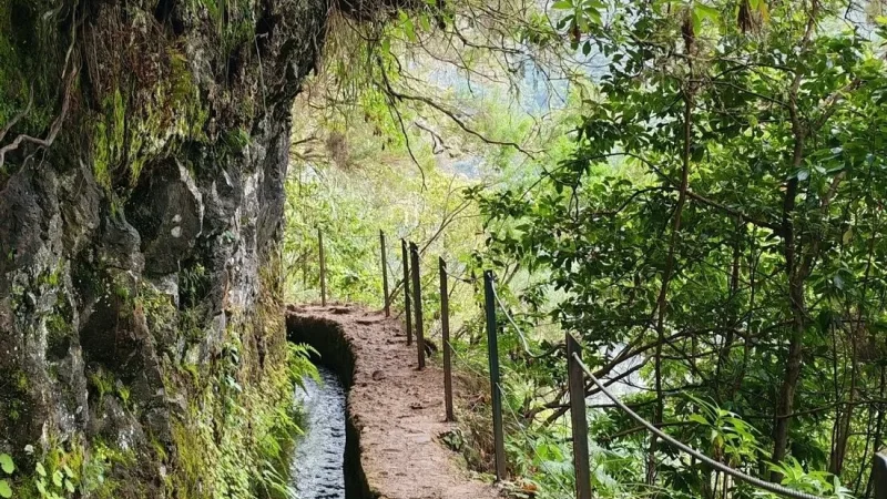 Levada do Caldeirão Verde – photo 6