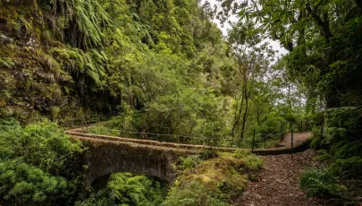 Imagem de Levada do Caldeirão Verde