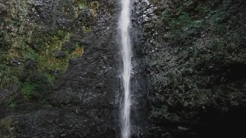 Levada do Caldeirão Verde