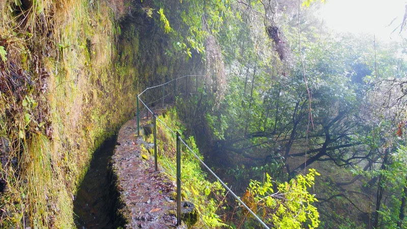 Levada do Caldeirão Verde – photo 2