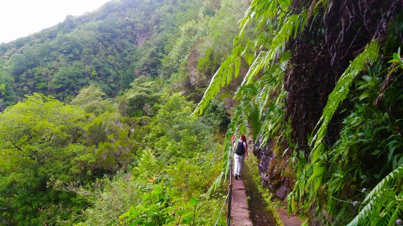 Levada do Caldeirão Verde – photo 3