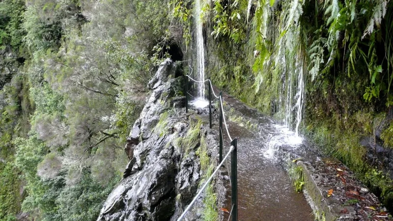 Levada do Caldeirão Verde – photo 4