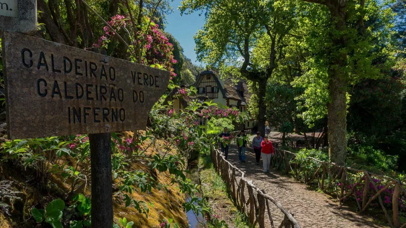 Levada do Caldeirão Verde – photo 6