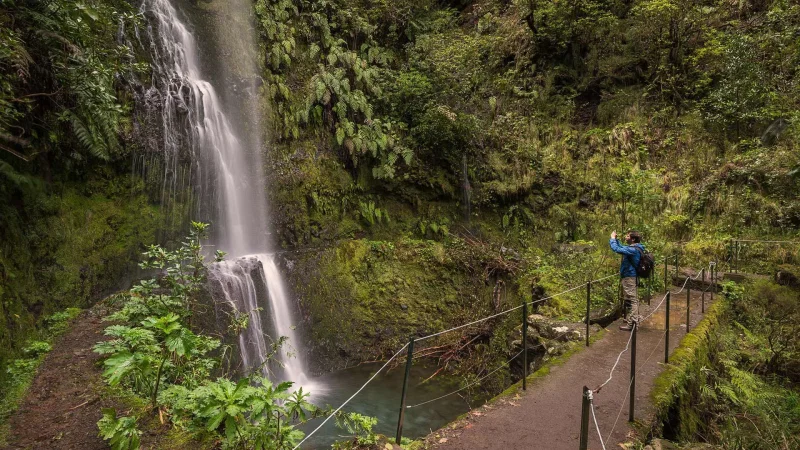 Levada do Caldeirão Verde – photo 4