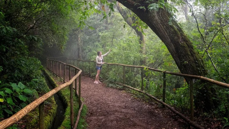 Levada do Caldeirão Verde – photo 3
