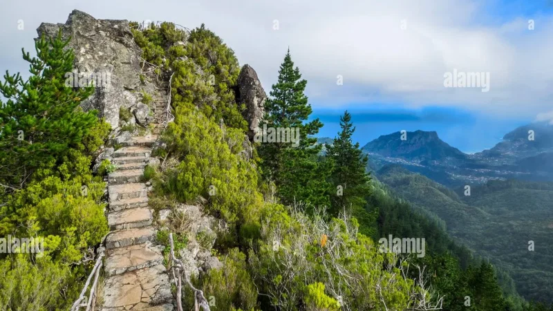 Parque Florestal das Queimadas – photo 8