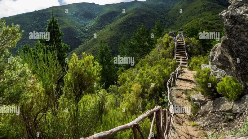 Parque Florestal das Queimadas – photo 9