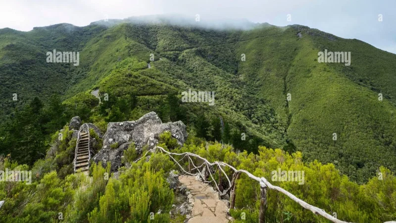 Parque Florestal das Queimadas – photo 10