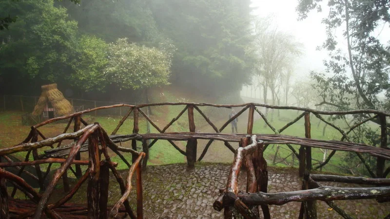Parque Florestal das Queimadas – photo 2