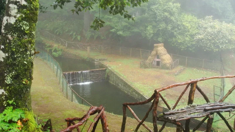 Parque Florestal das Queimadas – photo 3
