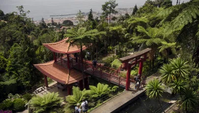 Imagem de Jardim Monte Palace Madeira