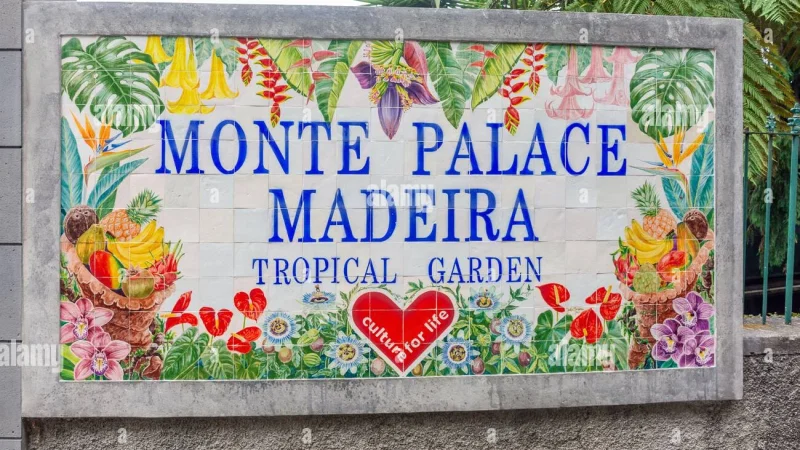 Jardim Monte Palace Madeira – photo 8
