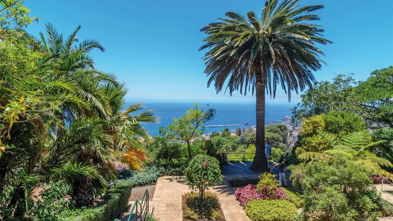 Jardim Monte Palace Madeira – photo 9