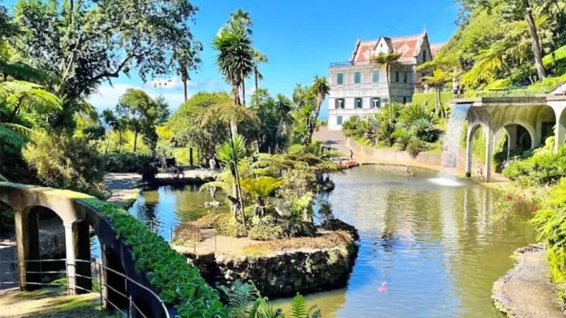 Jardim Monte Palace Madeira – photo 6