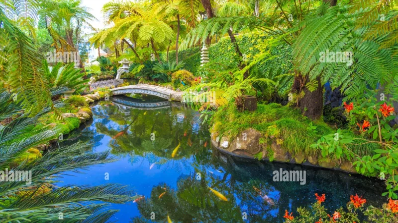 Jardim Monte Palace Madeira – photo 7