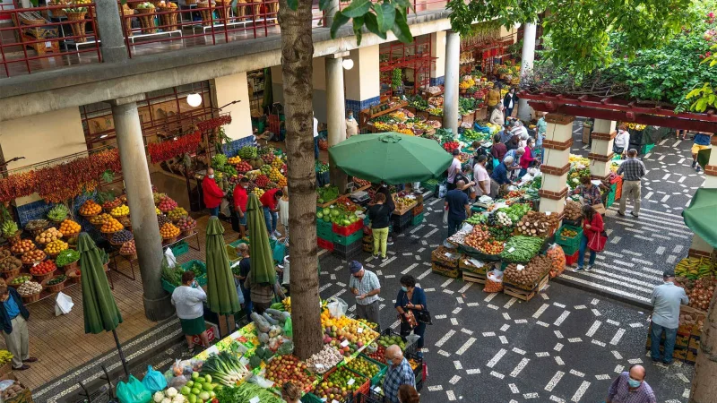 Mercado dos Lavradores – photo 6