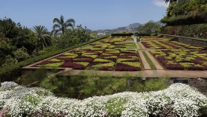 Imagem de Jardim Botânico da Madeira