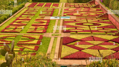 Jardim Botânico da Madeira