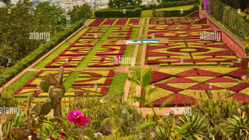 Jardim Botânico da Madeira – photo 2