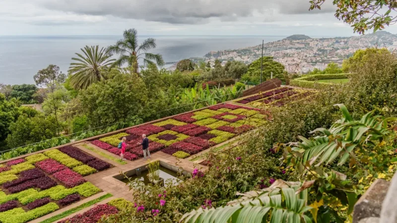 Jardim Botânico da Madeira – photo 4