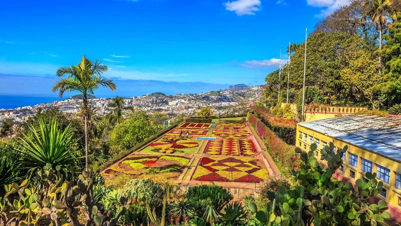 Jardim Botânico da Madeira – photo 5