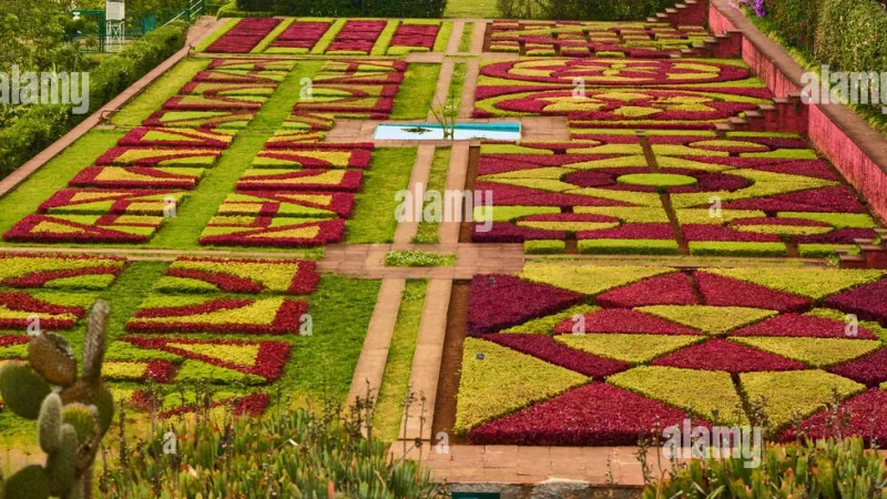 Jardim Botânico da Madeira – photo 3