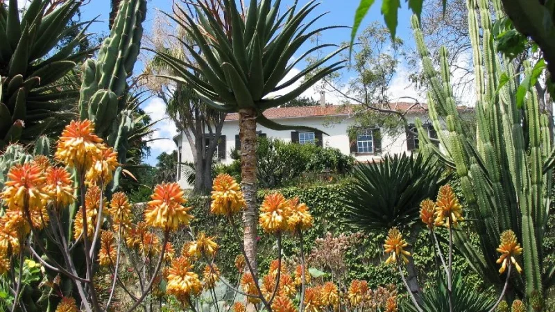 Jardim Botânico da Madeira – photo 7