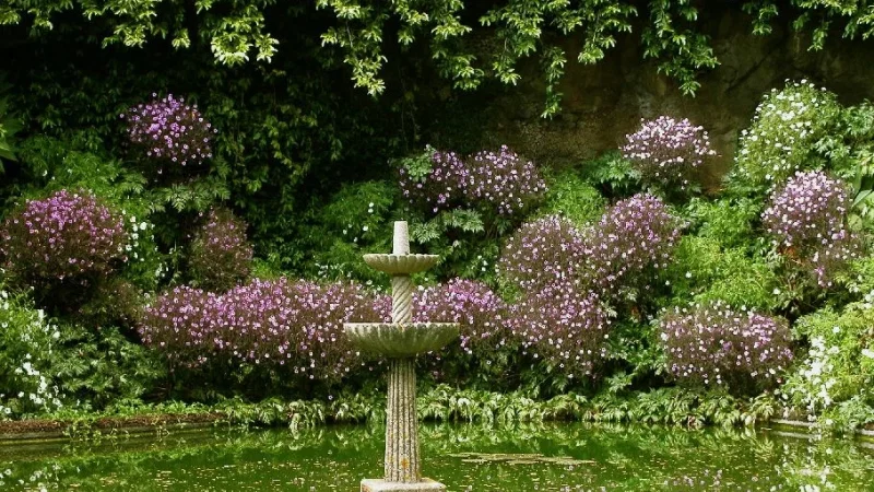 Jardim Botânico da Madeira – photo 8