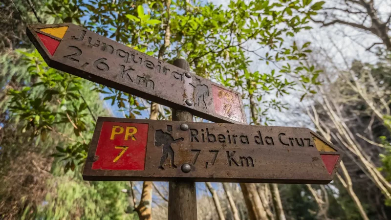 Levada do Moinho – photo 2