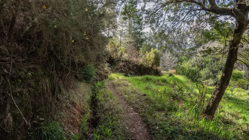 Levada do Moinho – photo 3