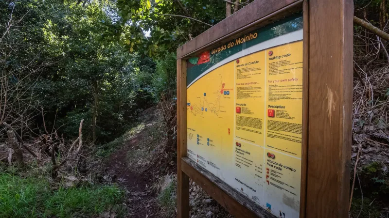 Levada do Moinho – photo 4
