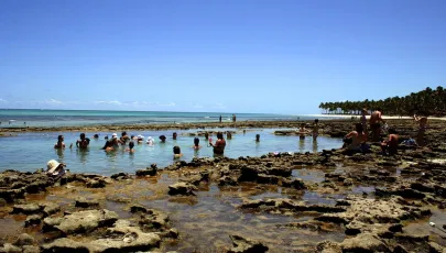 Imagem de Piscinas Naturais Caneiros