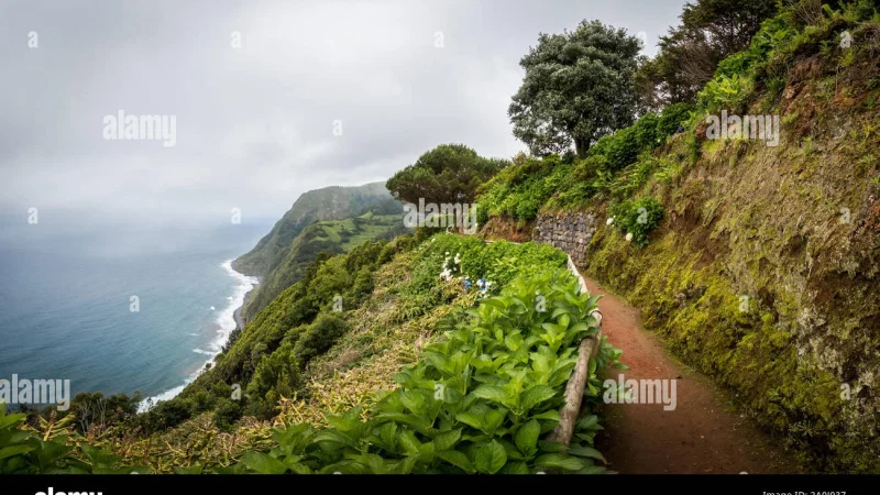 Miradouro da Ponta do Sossego – photo 9