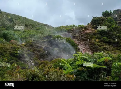 Furnas do Enxofre