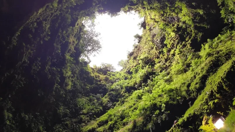 Algar do Carvão