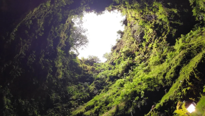 Algar do Carvão