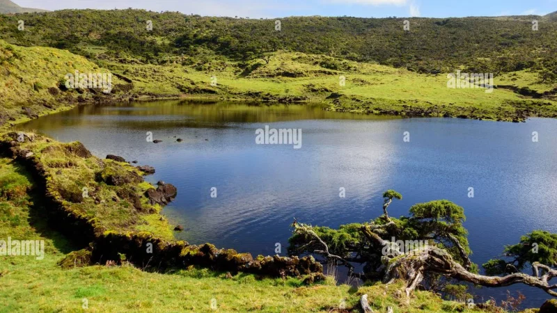 Lagoa do Paúl – photo 5