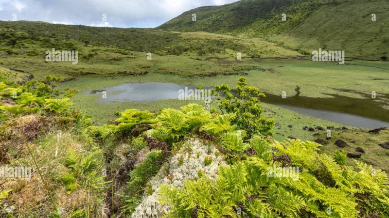 Lagoa do Paúl – photo 6