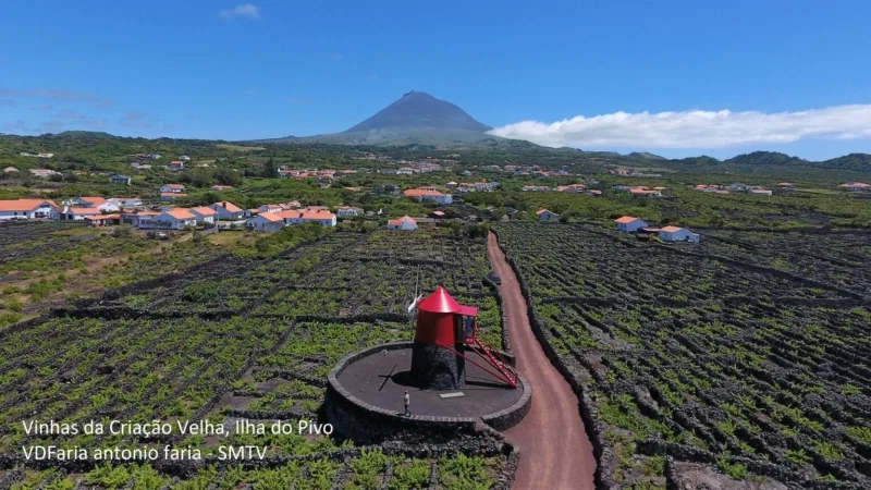 Montanha do Pico – photo 8