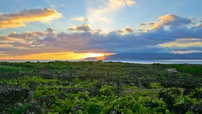 Imagem de Paisagem da Cultura da Vinha da Ilha do Pico