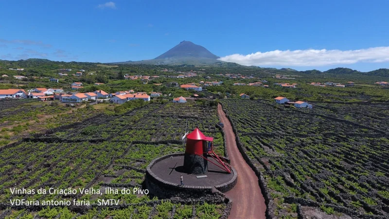 Paisagem da Cultura da Vinha da Ilha do Pico – photo 3