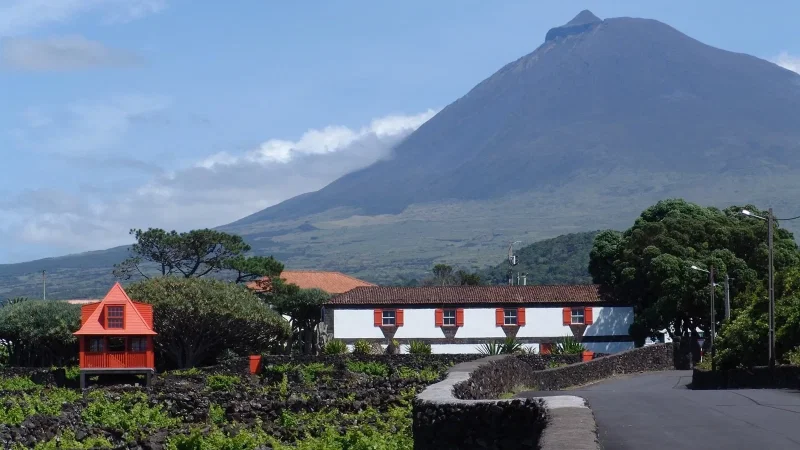 Paisagem da Cultura da Vinha da Ilha do Pico – photo 4