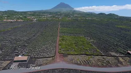 Paisagem da Cultura da Vinha da Ilha do Pico