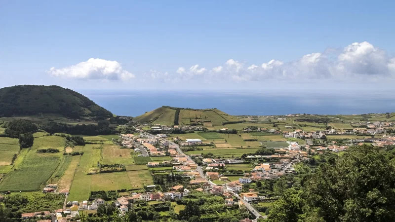 Jardim Botânico do Faial – photo 2